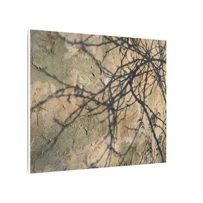 Japandi Shadow Play in Golden Hour | Texture Canvas Art