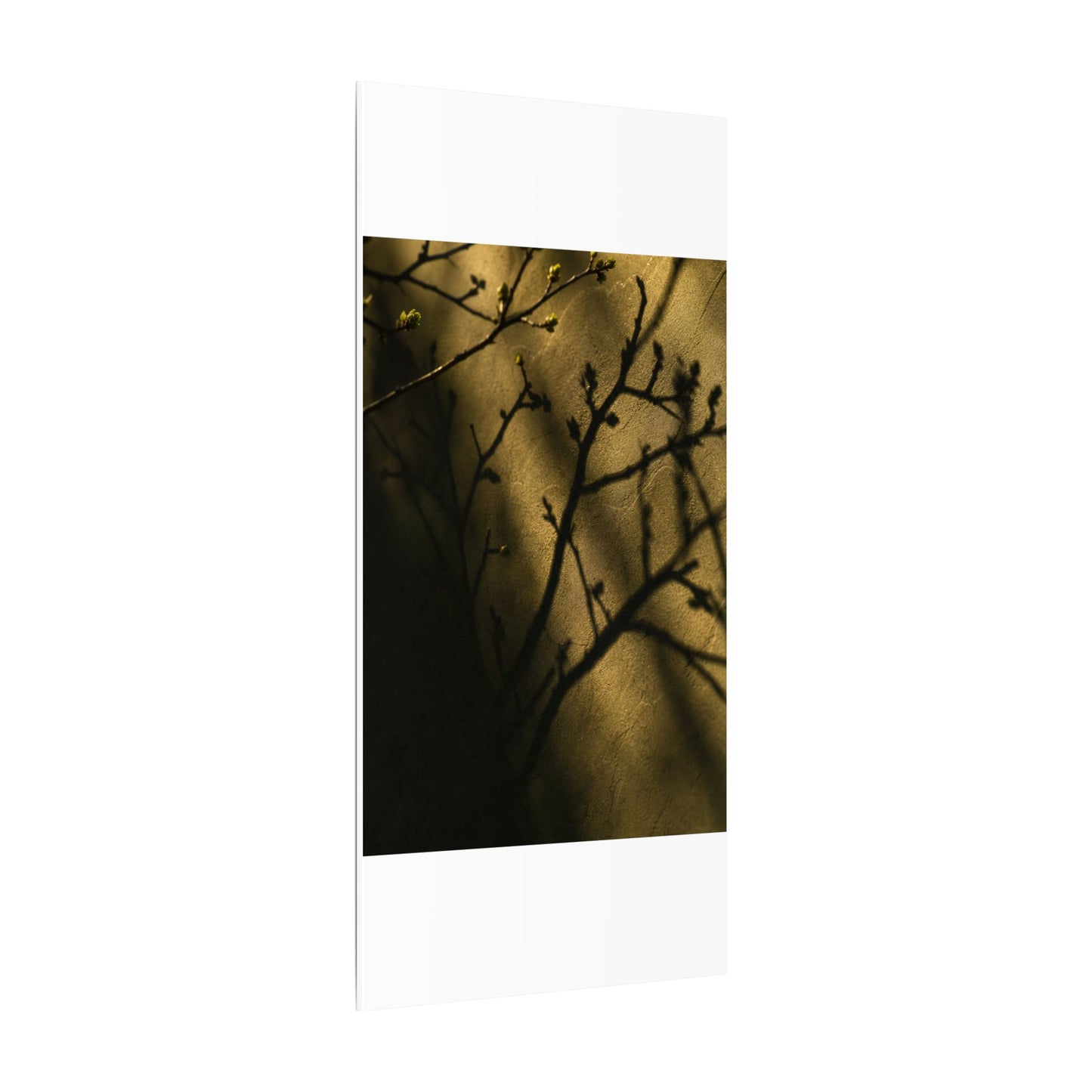 Golden Hour Shadow Play Canvas Art - Dark Japandi Seijaku