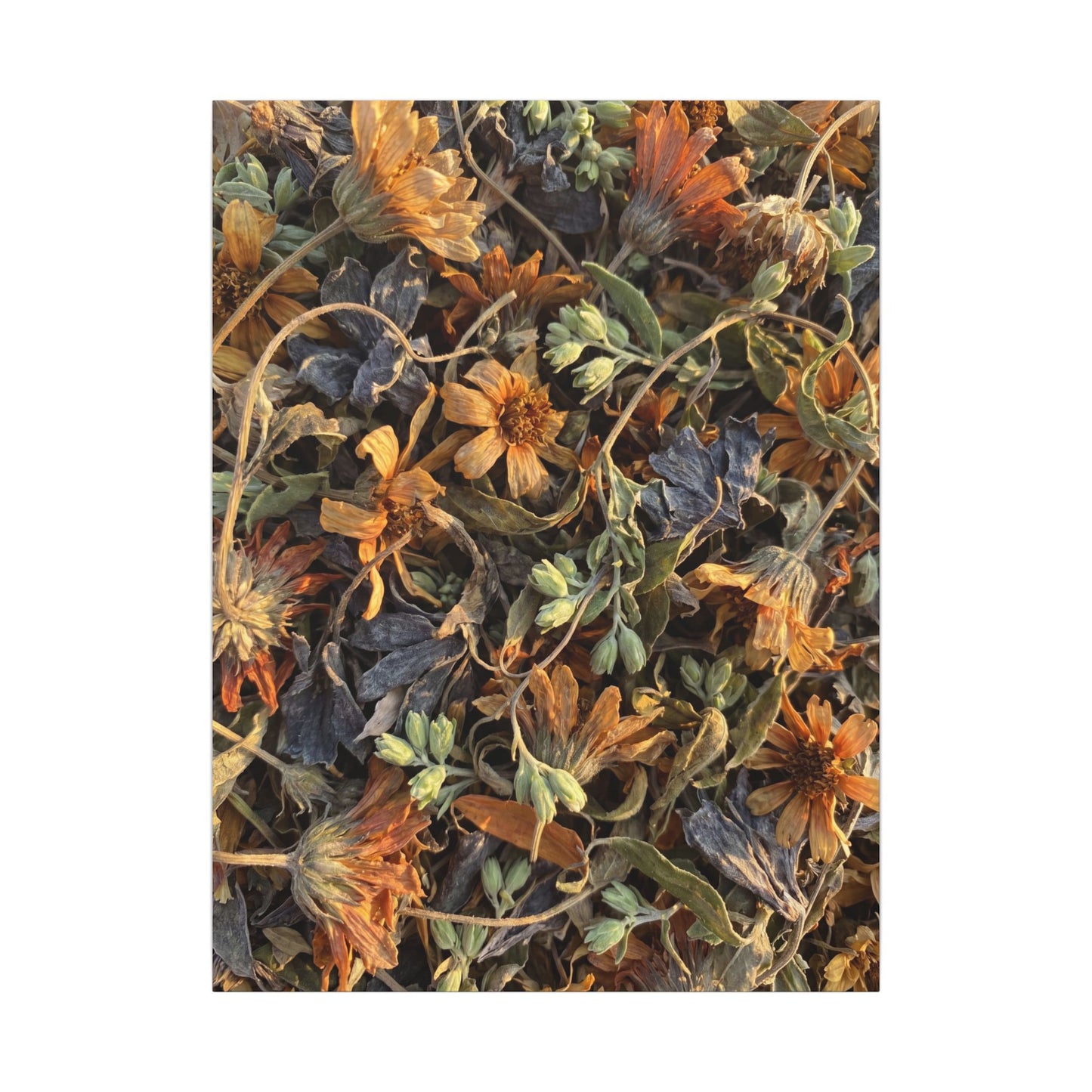 Spring Dried Flowers Japanese Pattern Canvas Art | Warm Decor
