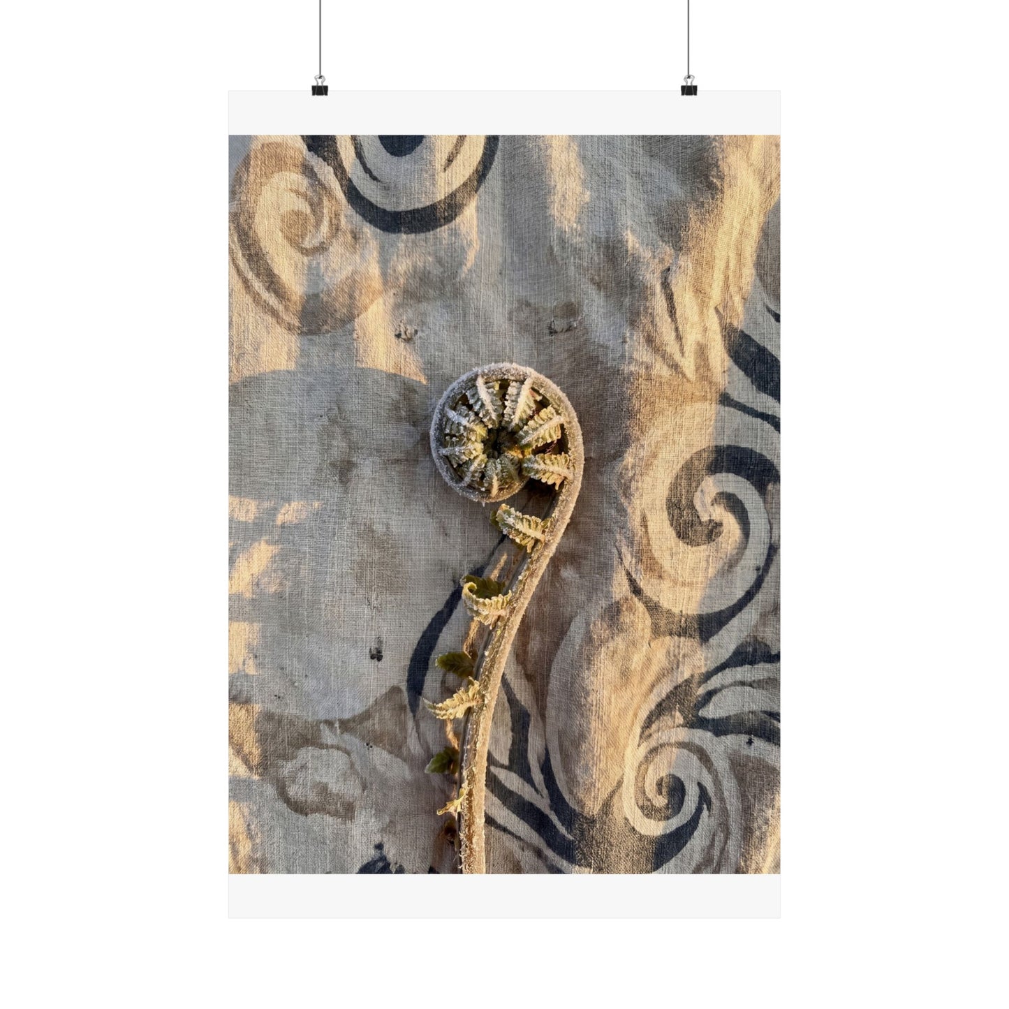 Fern Unfurling Winter Wall Art Print | Japandi Warm Design