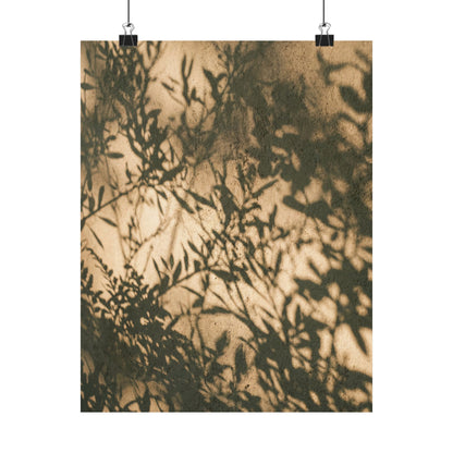 Shibui Shadow Play Wall Art Print - Japandi Minimal Line Art Print