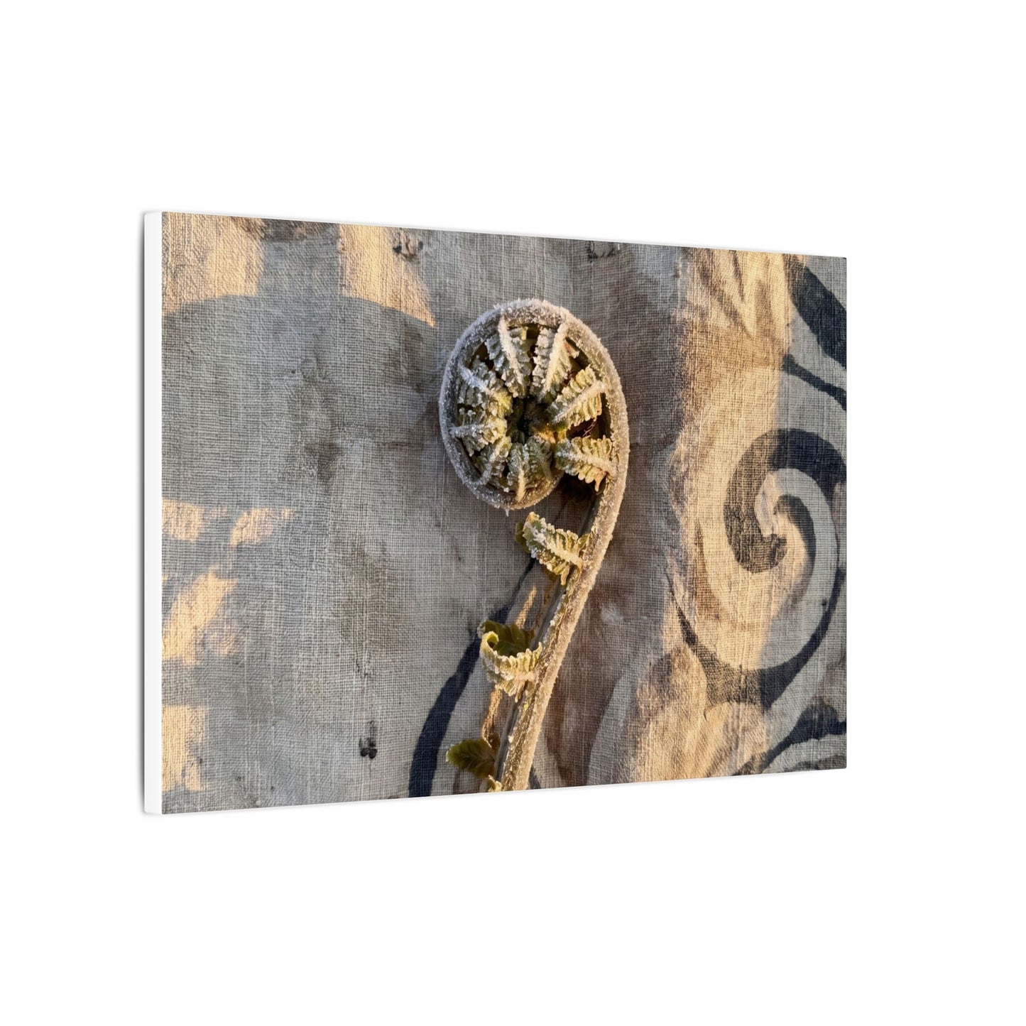 Fern Unfurling Canvas Art | Winter Japandi Japanese Pattern Art