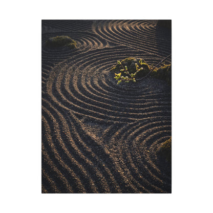 Spring Rock Garden Shadow Zen Canvas Art | Atmospheric Decor