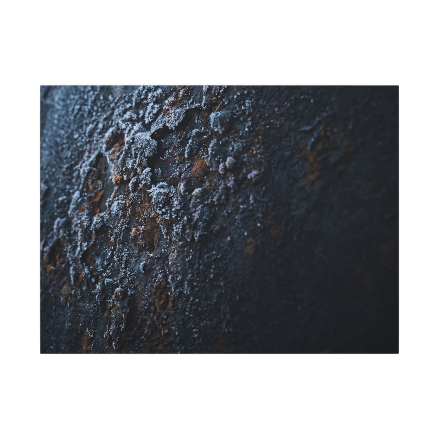 Rust Patina Canvas Art | Winter Dark Japandi Shadow Zen Art Art Print