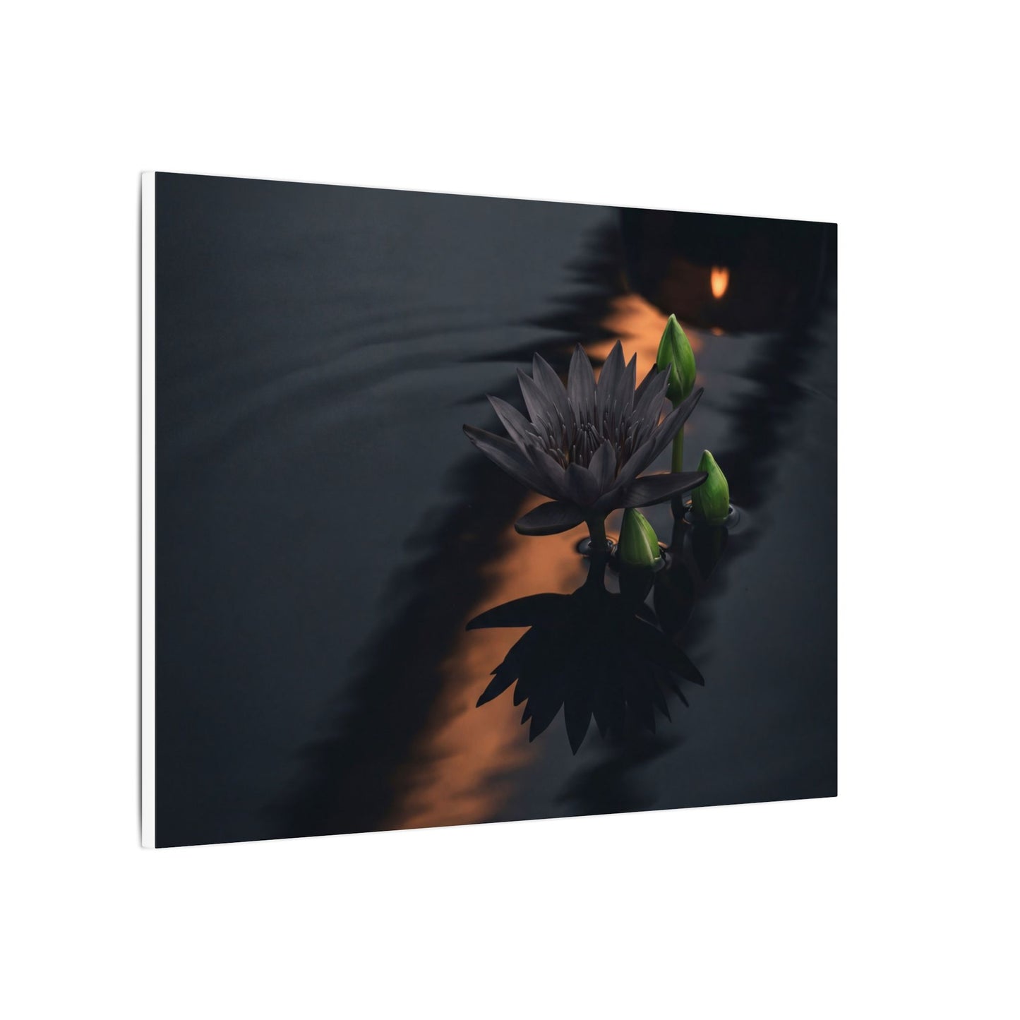 Seijaku Lotus Flower Canvas Art - Dark Japandi Shadow Zen
