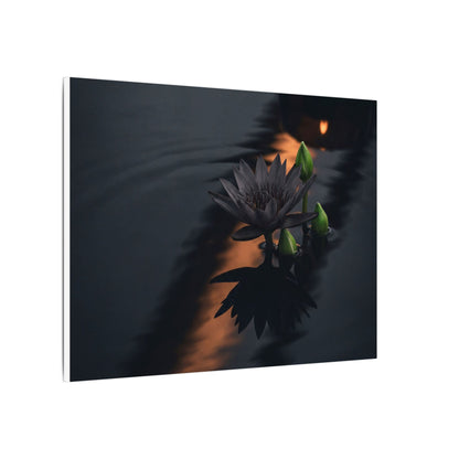 Seijaku Lotus Flower Canvas Art - Dark Japandi Shadow Zen