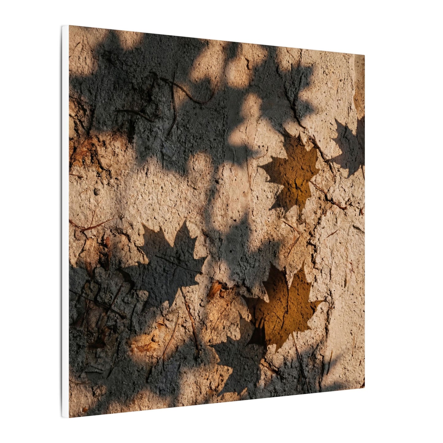 Cozy Shadow Play Canvas Art - Texture Japandi