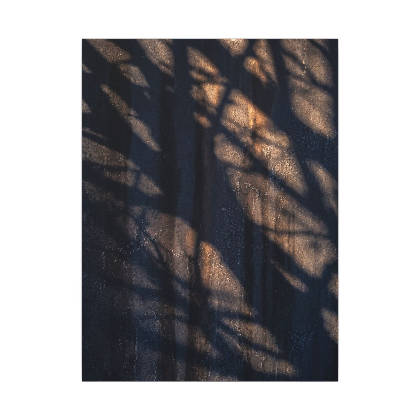 Dark Japandi Shadow Play in Golden Hour | Shadow Zen Canvas Art