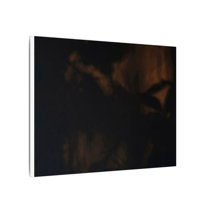 Shadow Play Summer Canvas Art | Dark Japandi Sophisticated Design