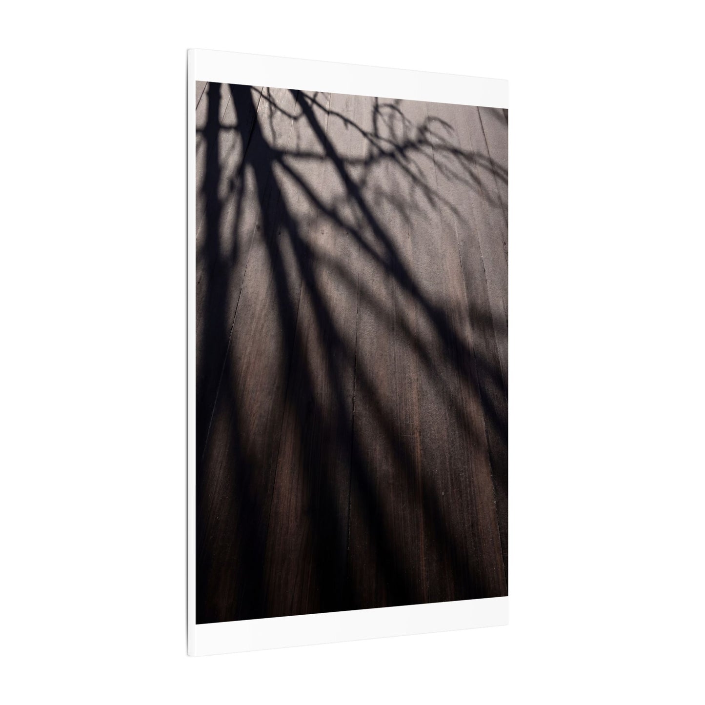 Dark Japandi Shadow Play in Dawn | Moody Minimal Canvas Art