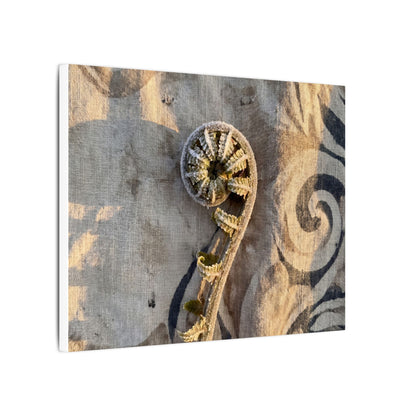 Fern Unfurling Canvas Art | Winter Japandi Japanese Pattern Art