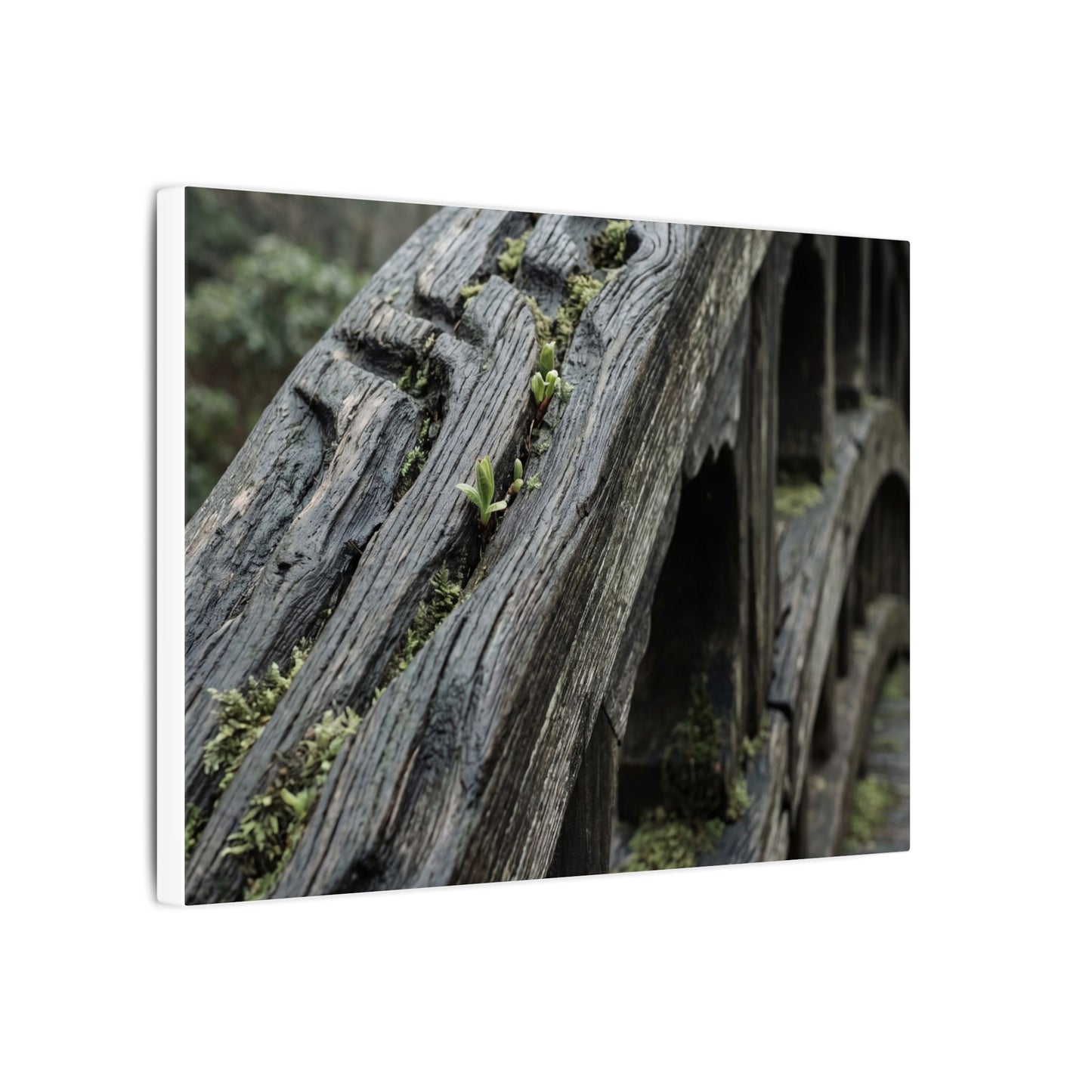 Overcast Wooden Bridge Canvas Art - Japandi Kanso