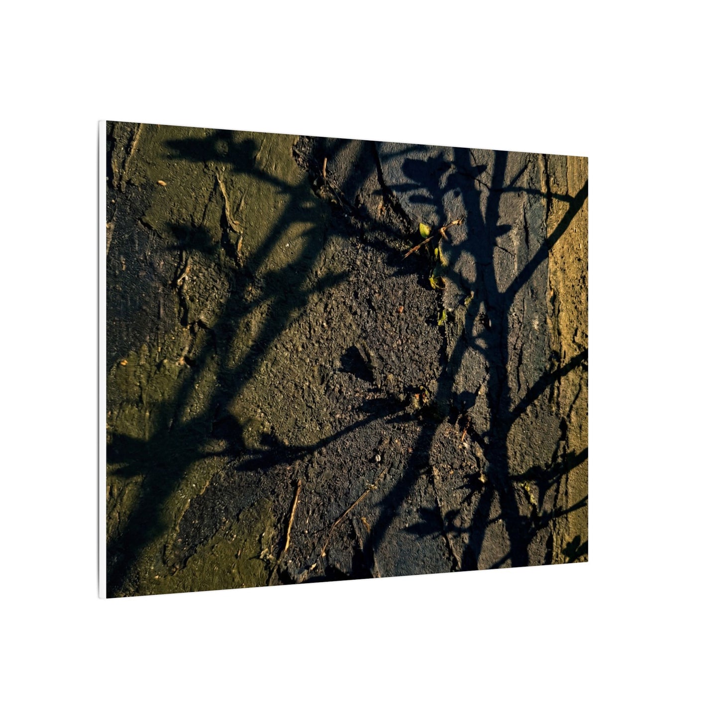 Kanso Shadow Play Canvas Art - Dark Japandi Dark Texture
