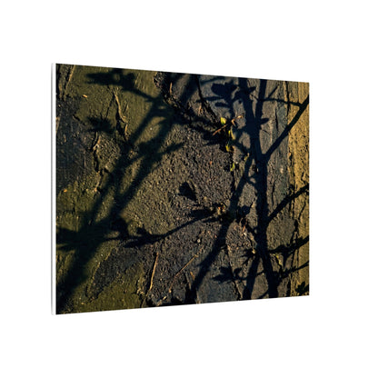 Kanso Shadow Play Canvas Art - Dark Japandi Dark Texture