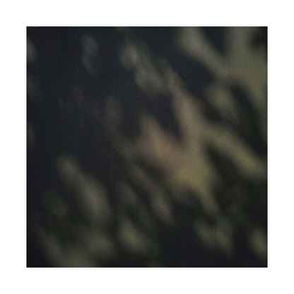 Dappled Shadow Play Wall Art Print - Dark Japandi Ma