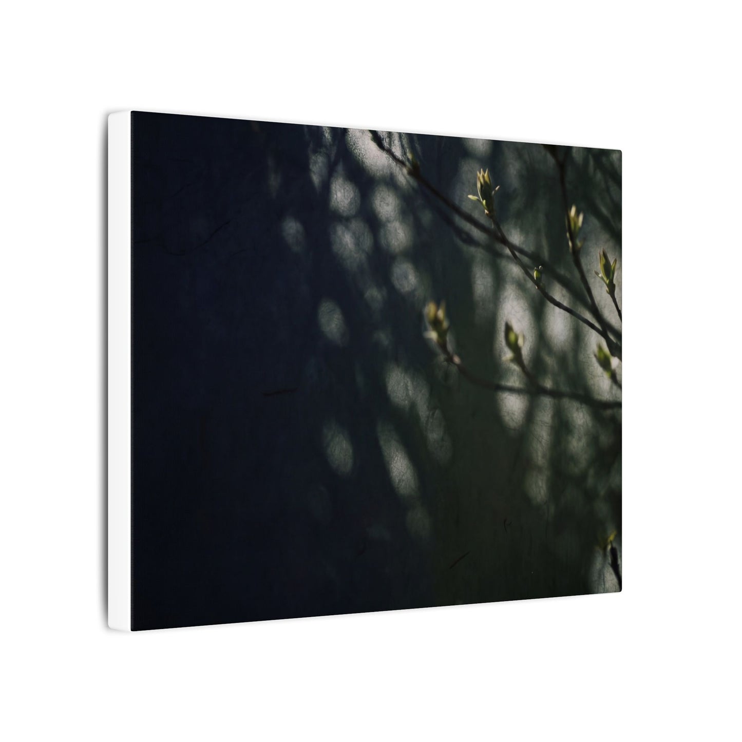 Dark Japandi Shoji Screen in Dappled | Moody Minimal Canvas Art