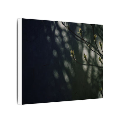 Dark Japandi Shoji Screen in Dappled | Moody Minimal Canvas Art