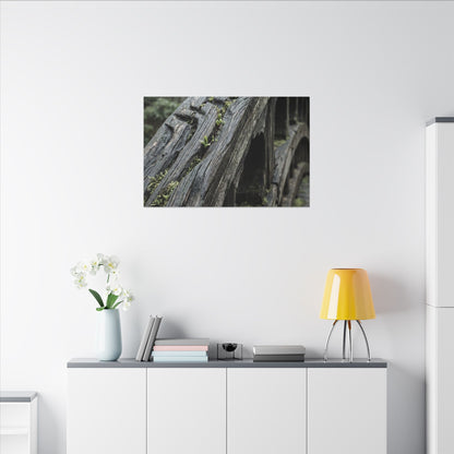 Overcast Wooden Bridge Canvas Art - Japandi Kanso