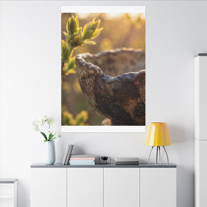 Golden Hour Ceramic Bowl Canvas Art - Dark Japandi Ma