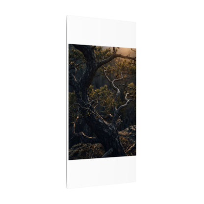 Moody Pine Tree Canvas Art - Moody Minimal Dark Japandi