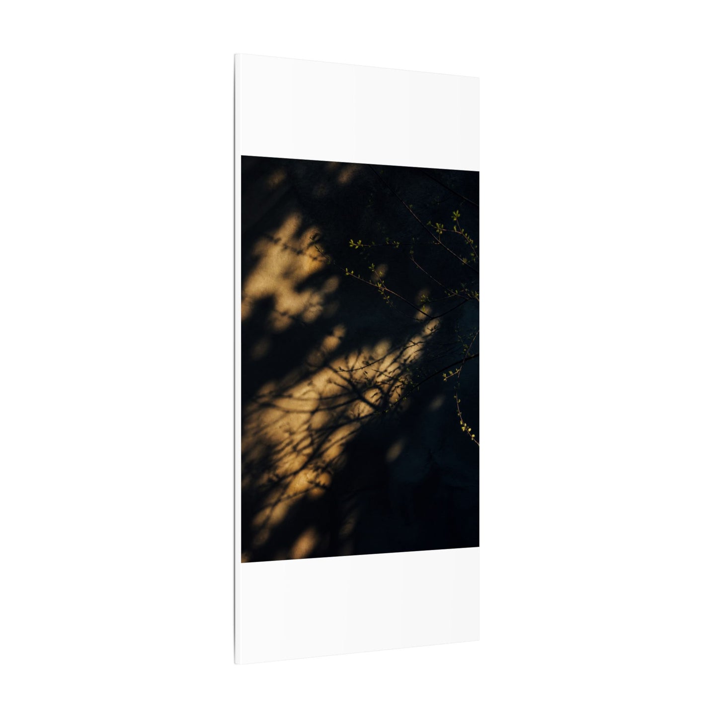 Moody Shadow Play Canvas Art - Moody Minimal Dark Japandi