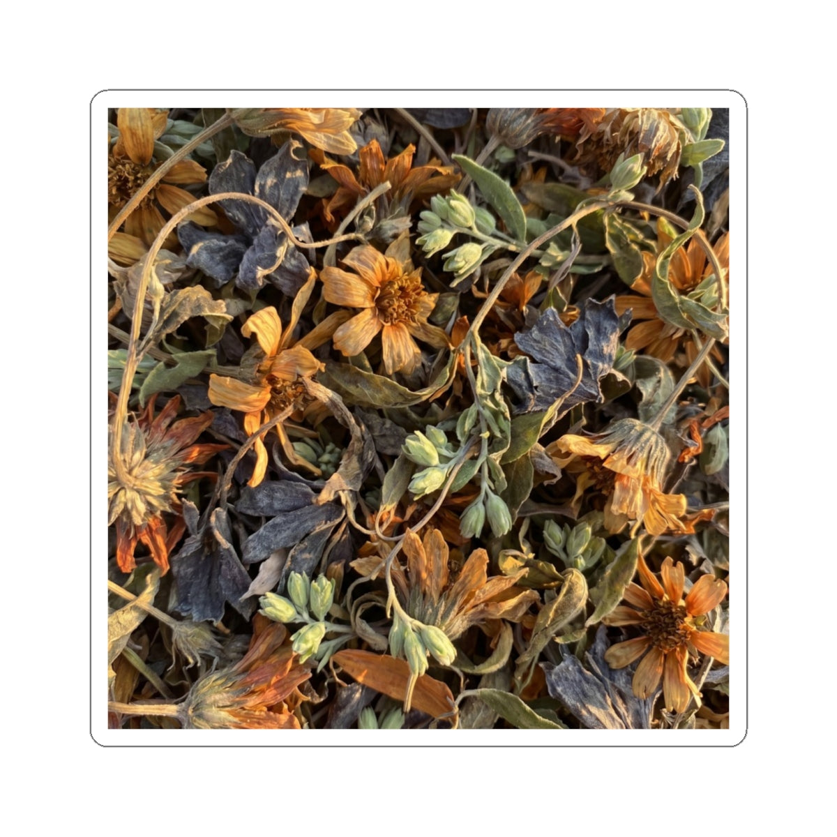 Dried Flowers Spring Sticker | Japandi Cozy Design Art Print
