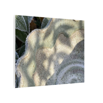 Dappled Ceramic Bowl Canvas Art - Japandi Seijaku