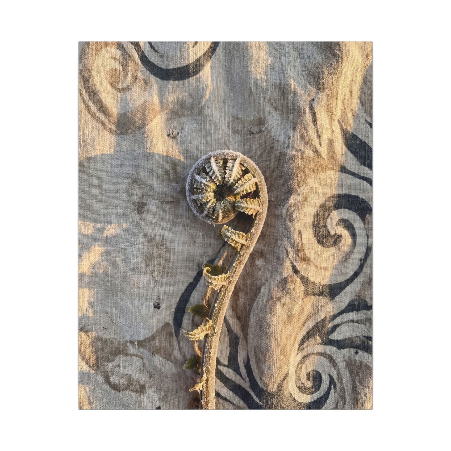 Fern Unfurling Canvas Art | Winter Japandi Japanese Pattern Art