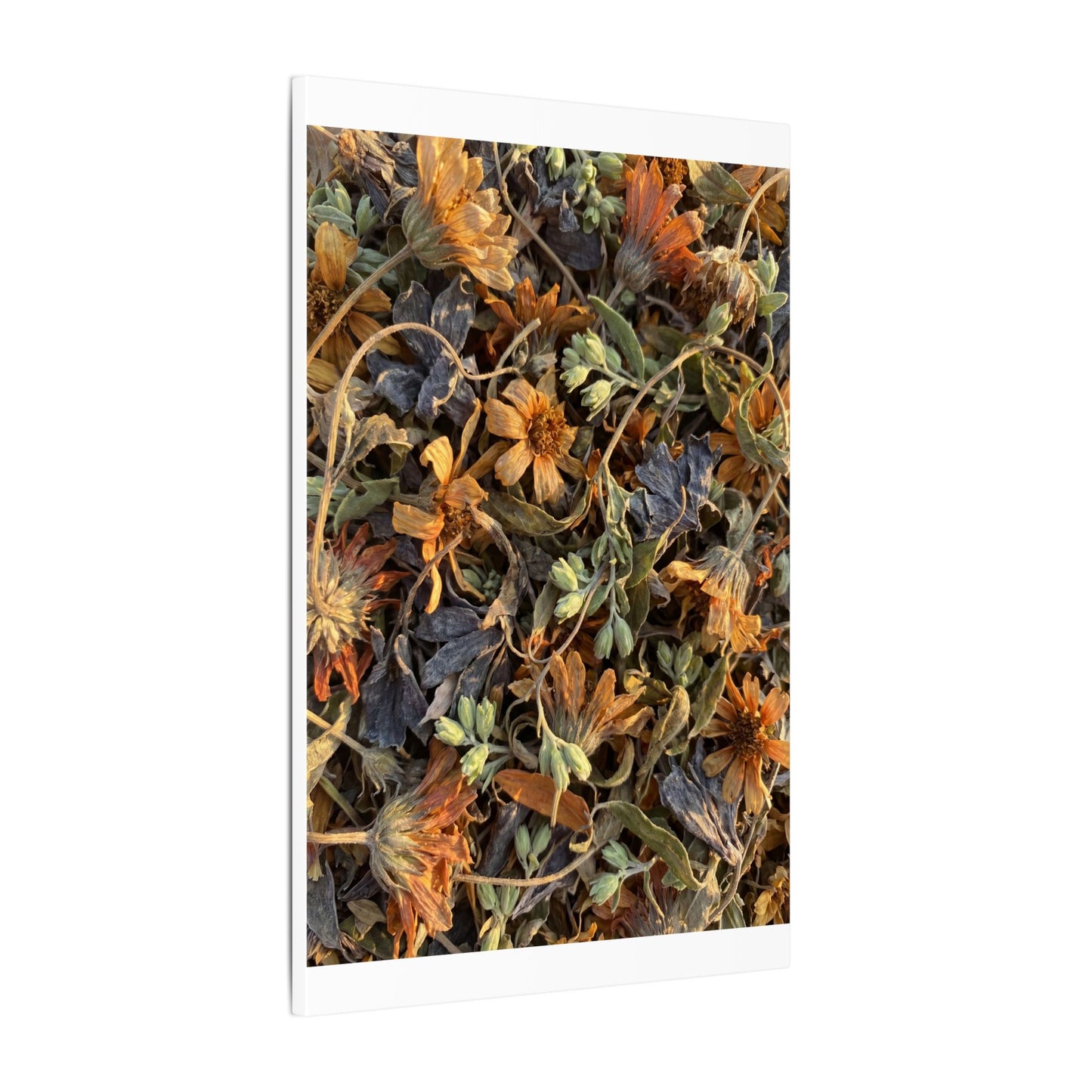Spring Dried Flowers Japanese Pattern Canvas Art | Warm Decor