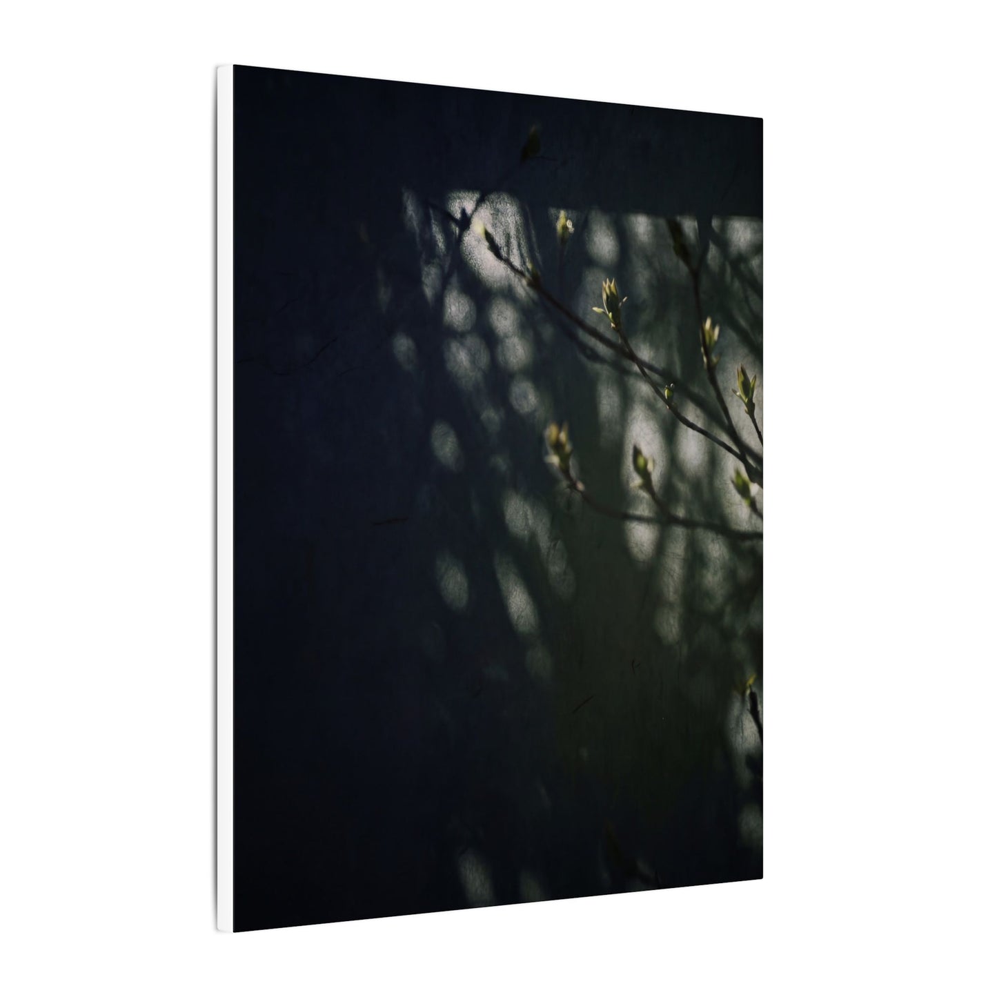 Dark Japandi Shoji Screen in Dappled | Moody Minimal Canvas Art