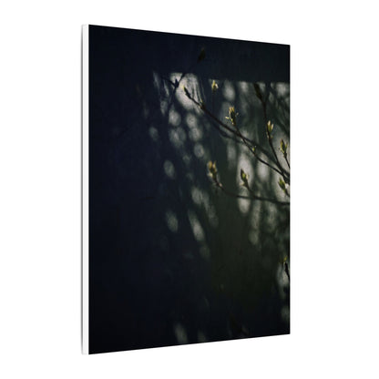 Dark Japandi Shoji Screen in Dappled | Moody Minimal Canvas Art