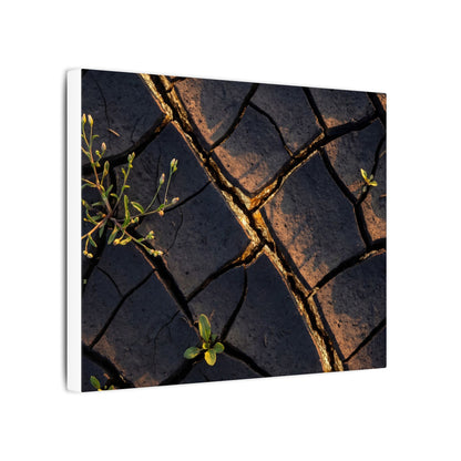Kintsugi Cracked Earth in Golden Hour | Gold Vein Canvas Art