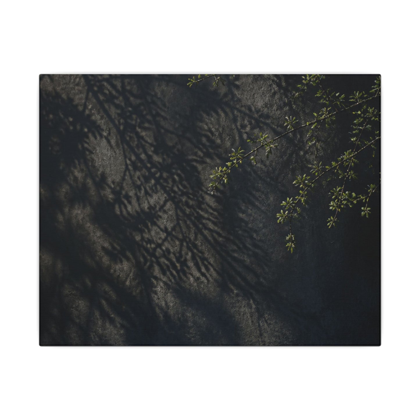 Overcast Shadow Play Canvas Art - Dark Japandi Seijaku