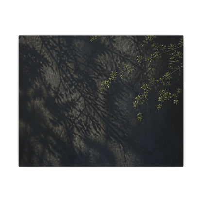 Overcast Shadow Play Canvas Art - Dark Japandi Seijaku
