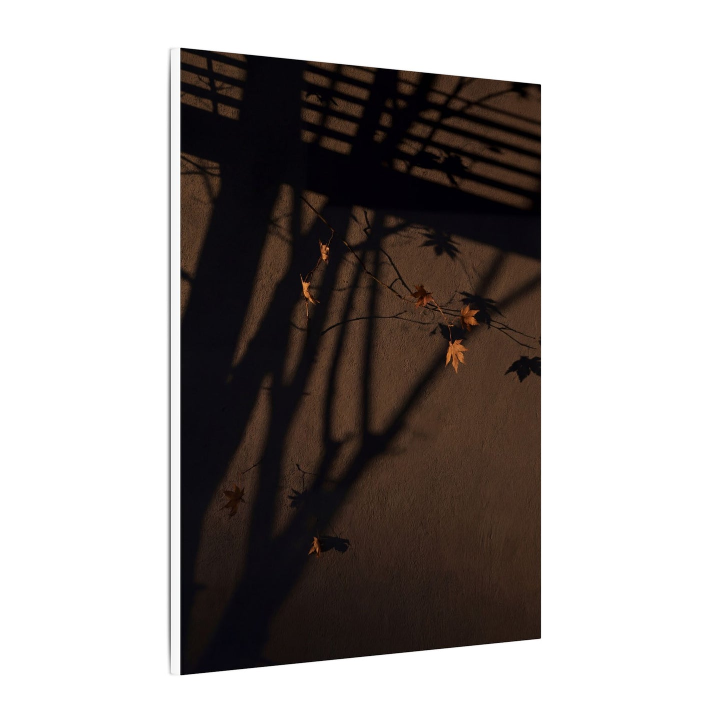 Shadow Play Autumn Canvas Art | Dark Japandi Luxurious Design