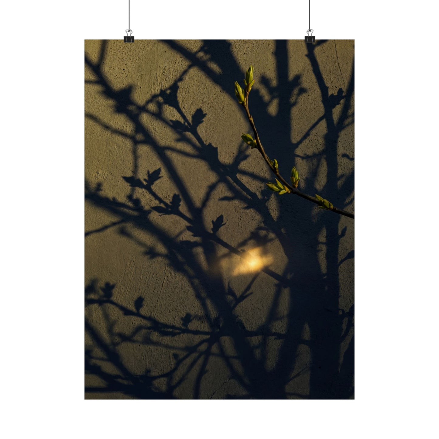 Datsuzoku Shadow Play Wall Art Print - Dark Japandi Moody Minimal Art Print