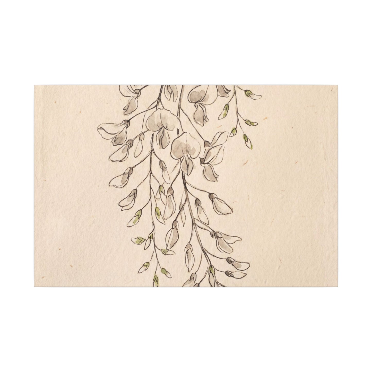 Japandi Wisteria in Golden Hour | Minimal Line Canvas Art Art Print