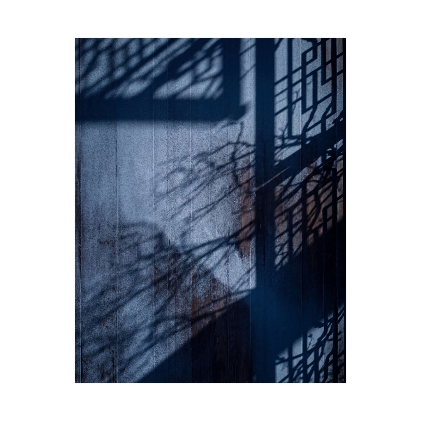 Sophisticated Shadow Play Wall Art Print - Moody Minimal Dark Japandi