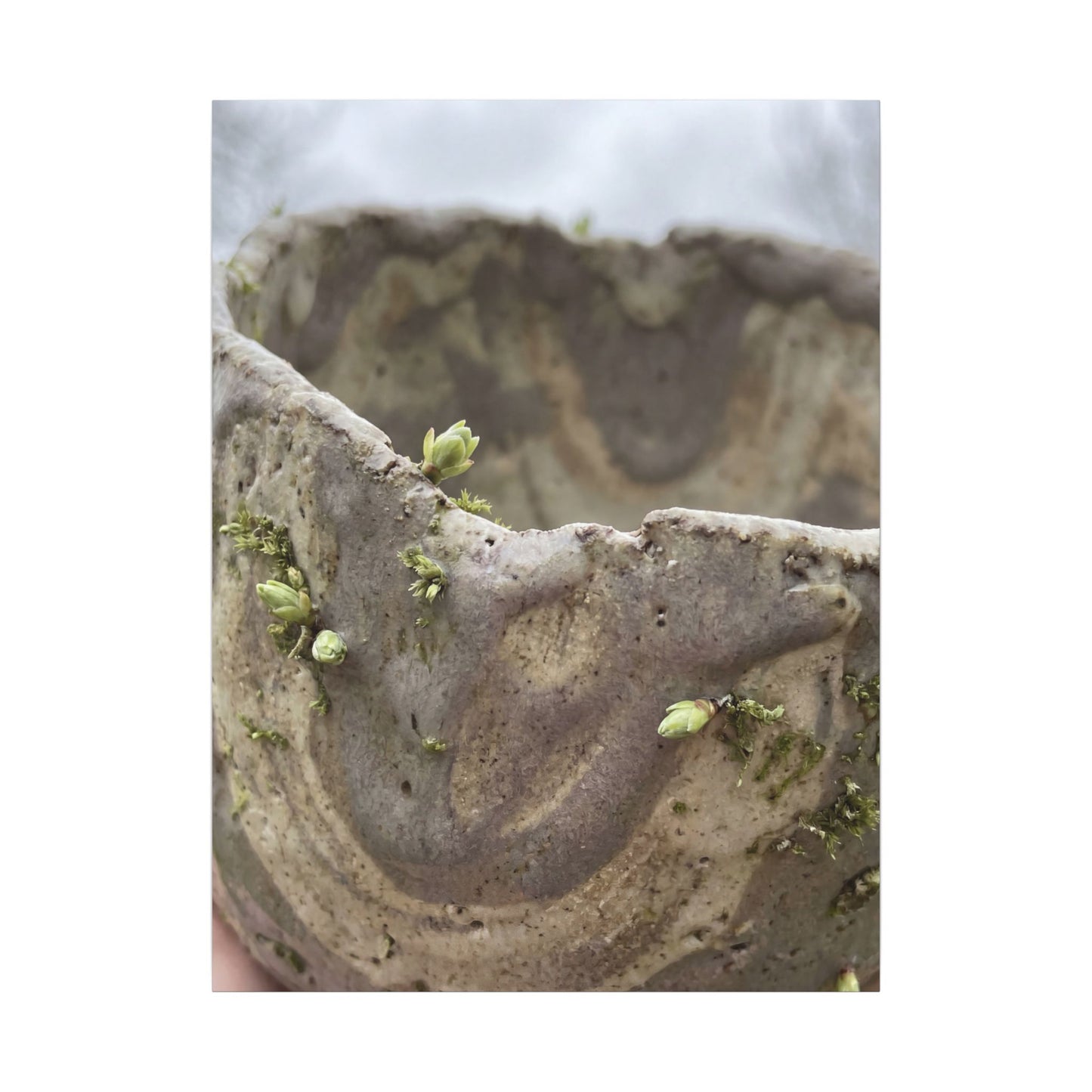 Overcast Ceramic Bowl Canvas Art - Japandi Fukinsei