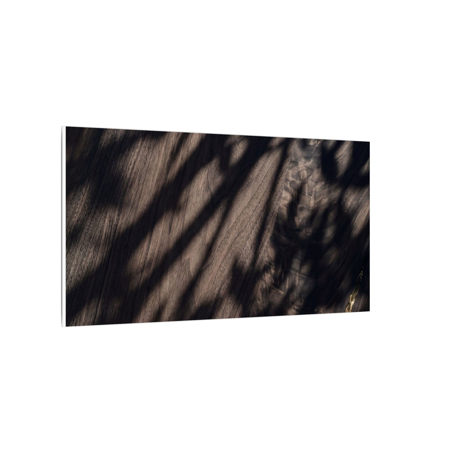 Shadow Play Summer Canvas Art | Dark Japandi Moody Design