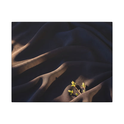 Silk Drape Shadow Zen Canvas Art | Luxurious Dark Japandi Art