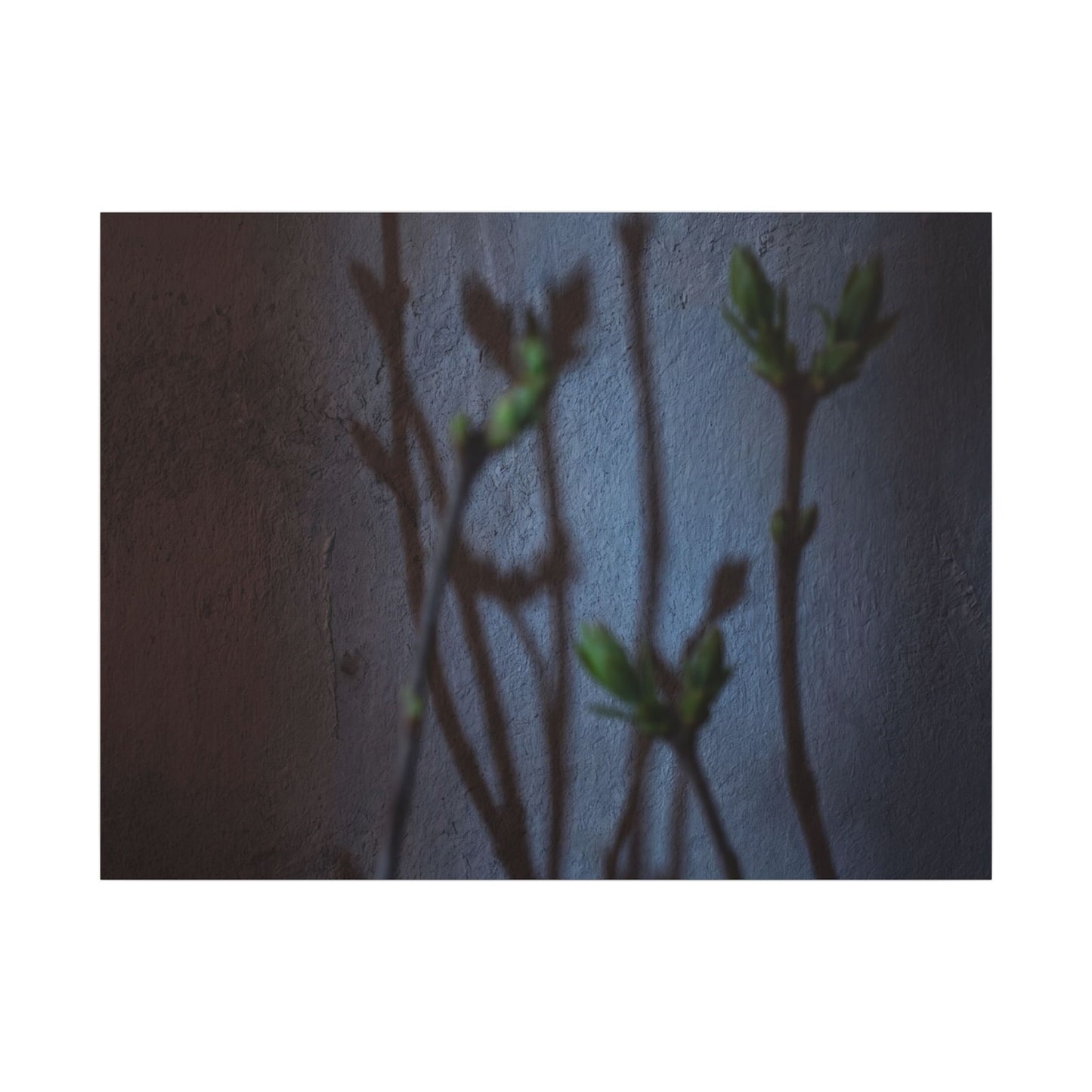 Shadow Play Spring Canvas Art | Dark Japandi Sophisticated Design