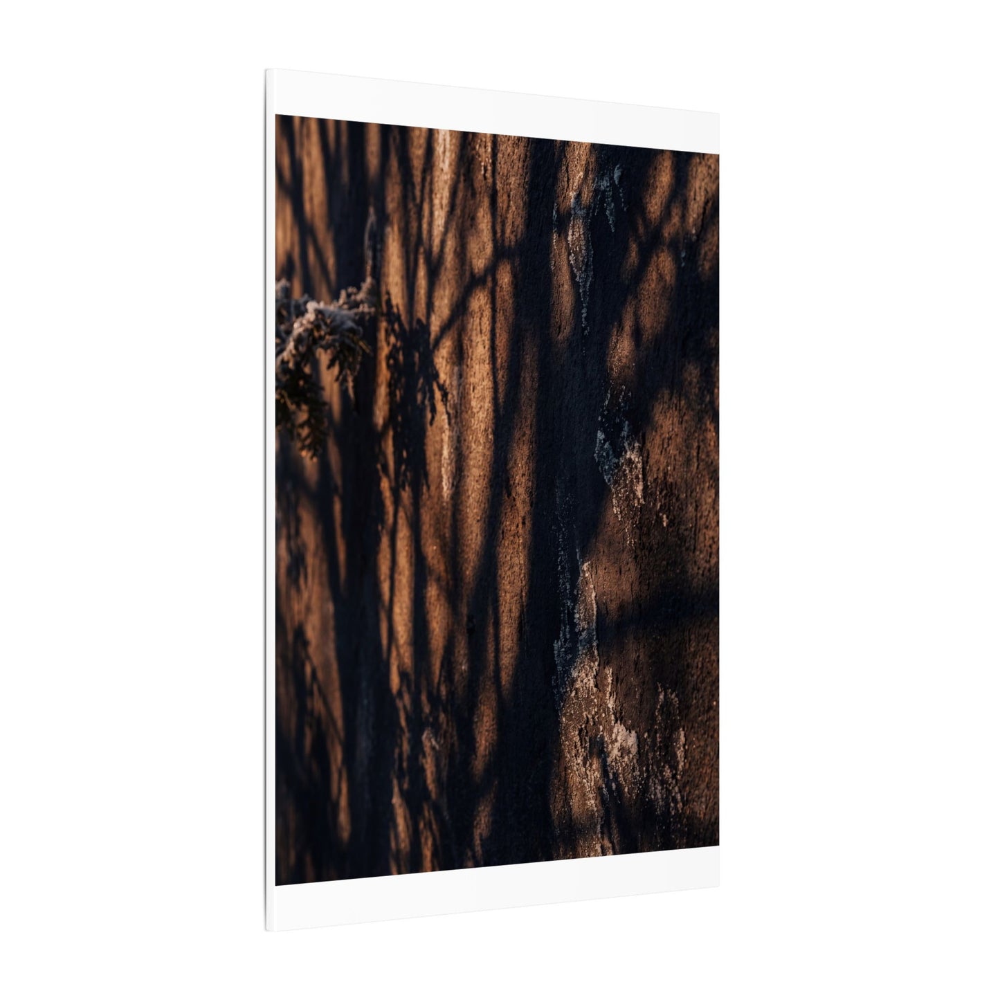 Golden Hour Shadow Play Canvas Art - Dark Japandi Fukinsei