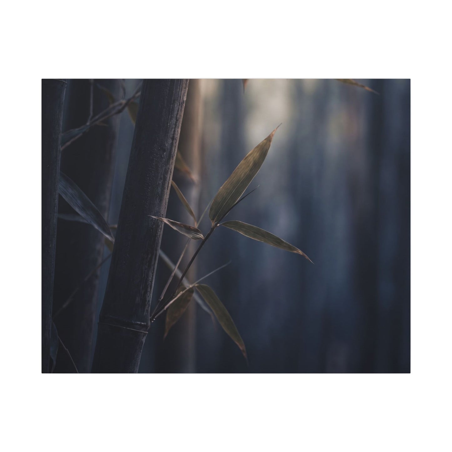 Dark Japandi Bamboo Grove in Dawn | Moody Minimal Canvas Art