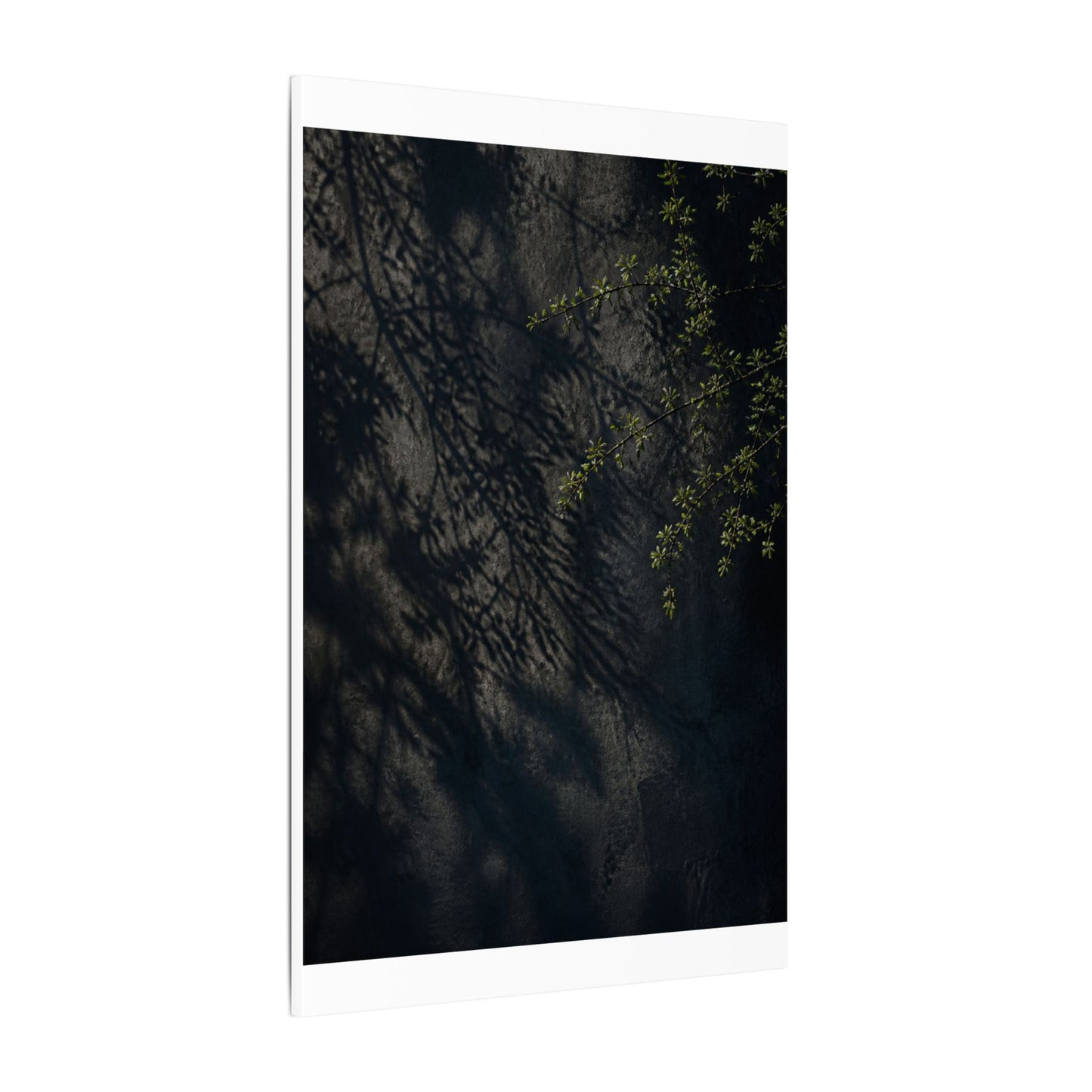 Overcast Shadow Play Canvas Art - Dark Japandi Seijaku