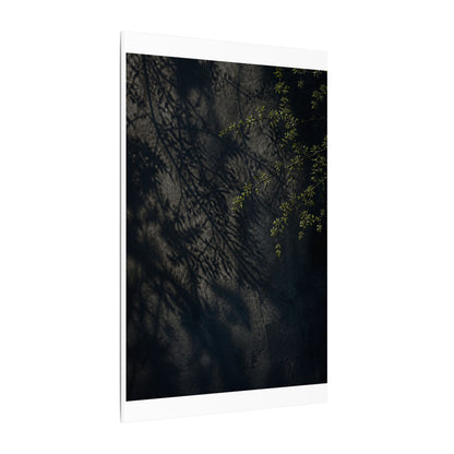 Overcast Shadow Play Canvas Art - Dark Japandi Seijaku