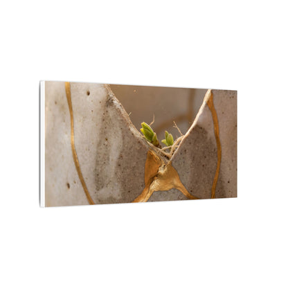 Golden Hour Broken Pottery Canvas Art - Japandi Kanso