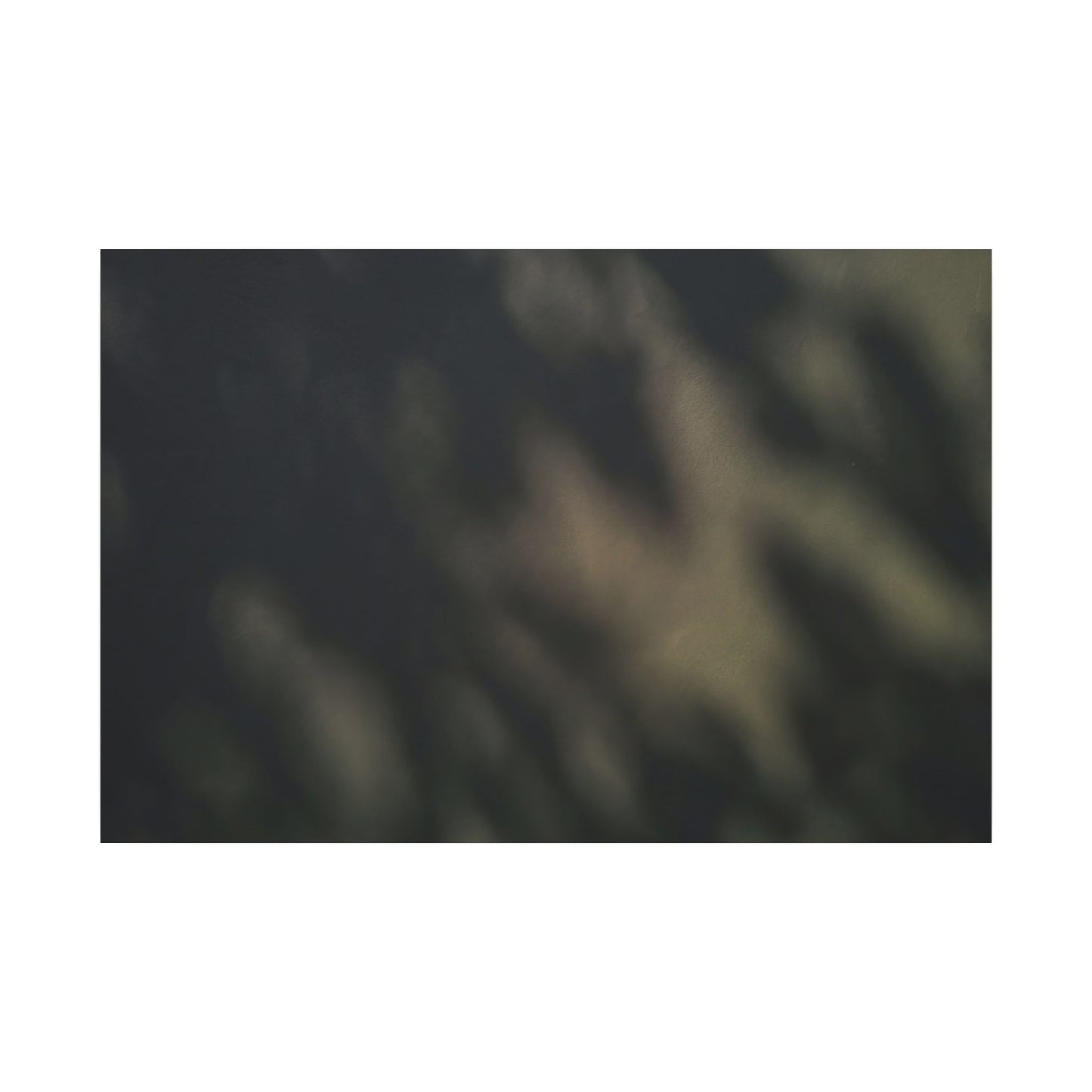 Dappled Shadow Play Canvas Art - Dark Japandi Ma