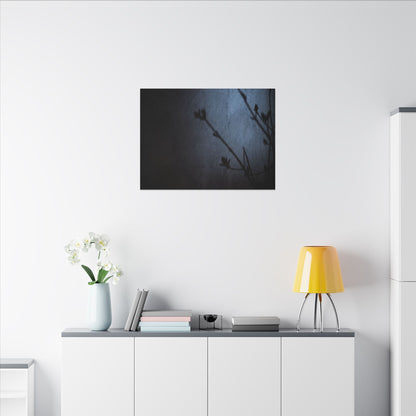 Shadow Play Canvas Art | Spring Dark Japandi Moody Minimal Art