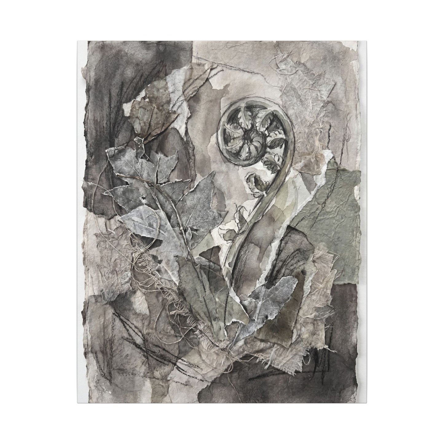 Japandi Fern Unfurling in Overcast | Texture Canvas Art